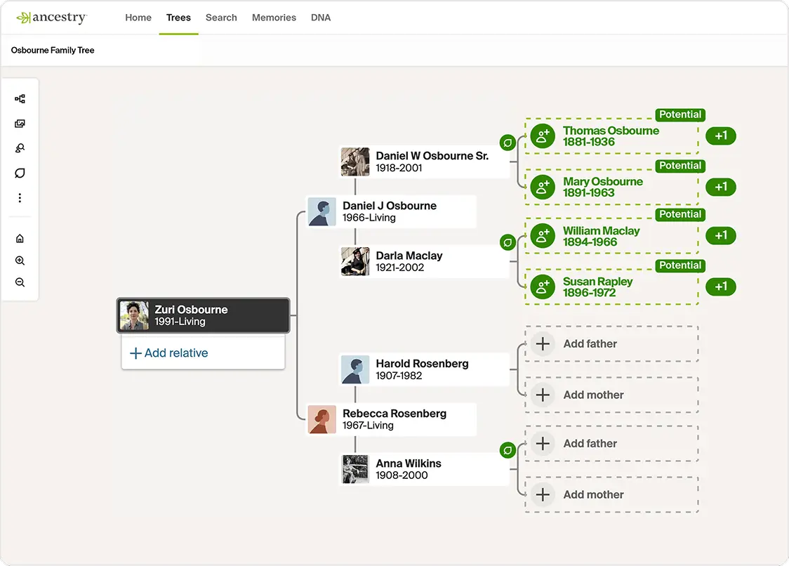 Ancestry dashboard preview