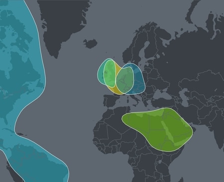 Sample Surname Ethnicity Results Image