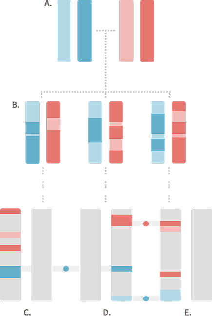 Figure 1.2