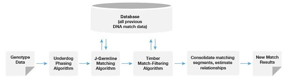Figure 1.4