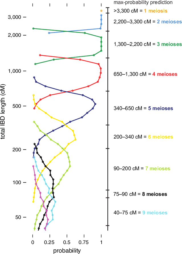 Ancestry DNA Paths (beta)