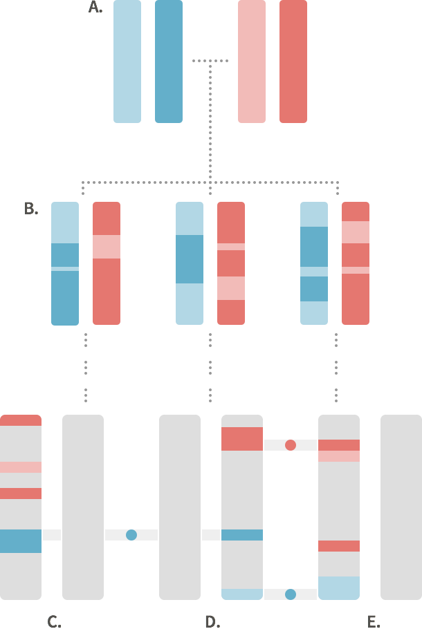 Figure 2.1