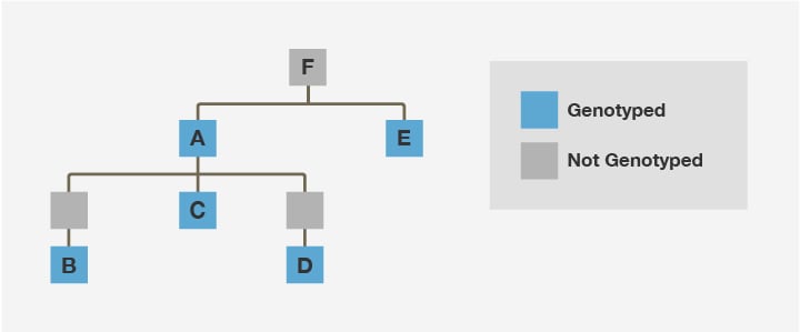 Figure 3.7