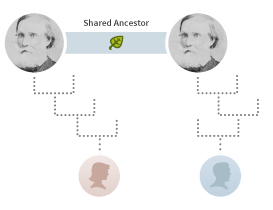Figure 3.3