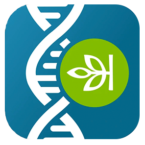 AncestryDNA App Icon