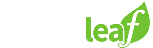 NBC A New Leaf Logo
