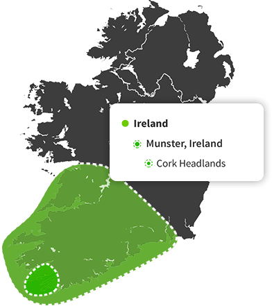 Ancestry Regions