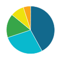 DNA ethnicity pie chart