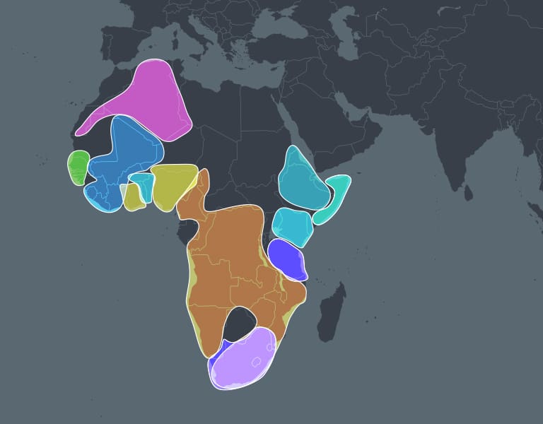 Africa now