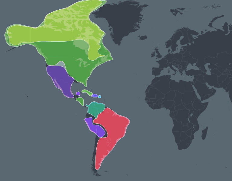 Americas now
