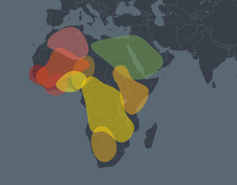 Africa before