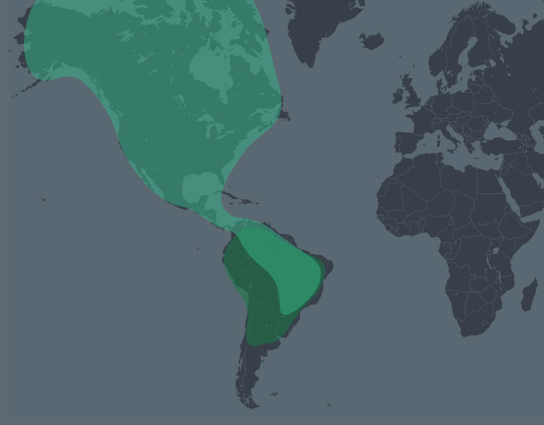 Americas before