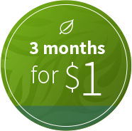 $1 for 3 Month Offer Banner