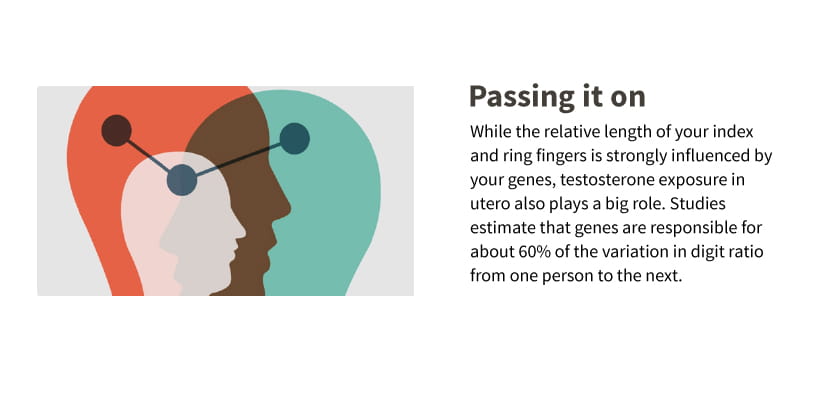 AncestryDNA Traits Inheritance