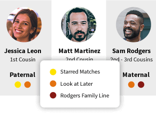 DNA Matches