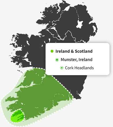 Ancestry Regions