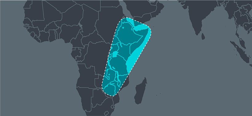 1 East Africa community