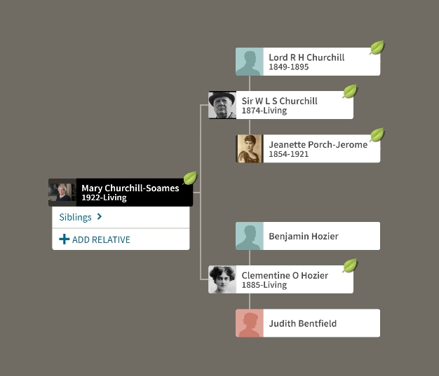 privacy for your family tree