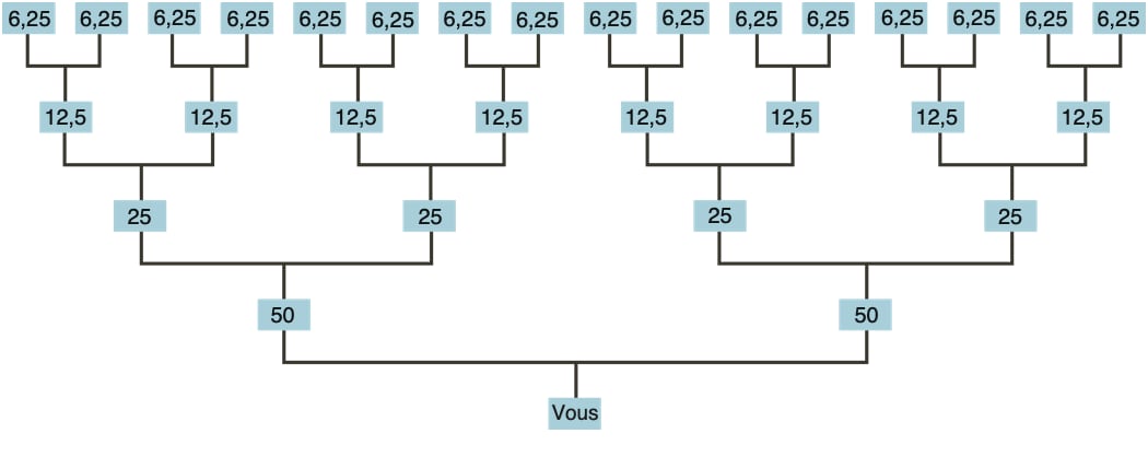 inheritance chart
