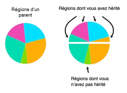 pie charts with gray halves