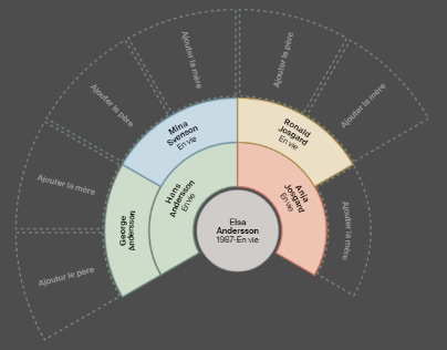Affichage du diagramme en éventail