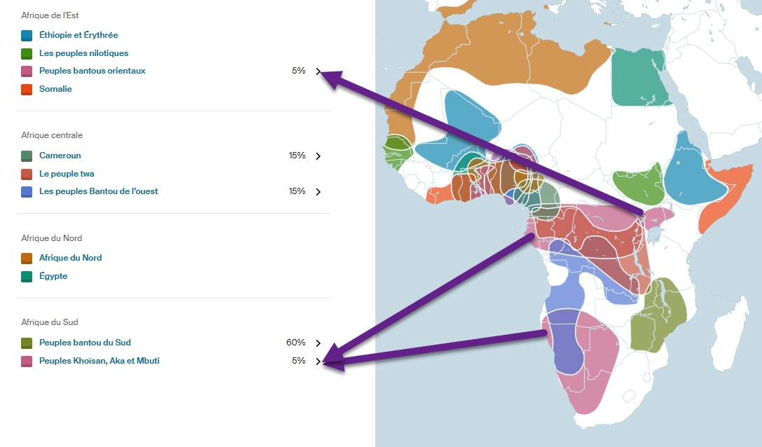 Comprendre les origines ancestrales : comment l’expansion bantoue a ...