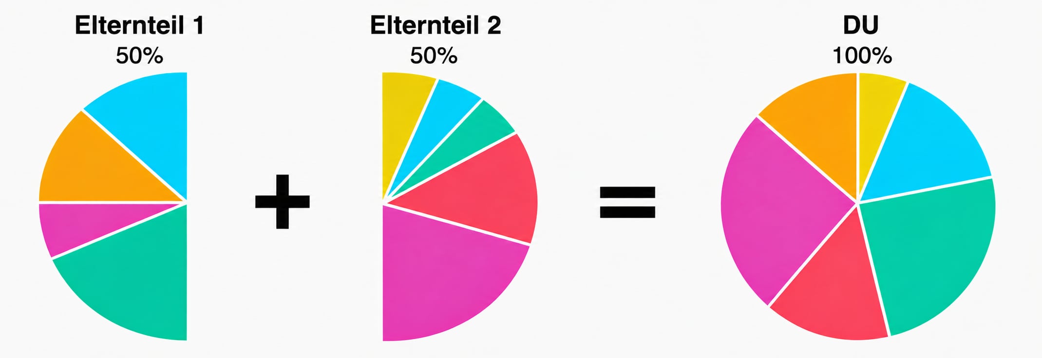 Dieses Diagramm veranschaulicht, dass jeder Ihrer beiden Elternteile die Hälfte Ihrer DNA
beigesteuert hat. Sie haben also Ihre gesamte DNA von Ihren Eltern geerbt – und damit auch
die Herkunftsregionen