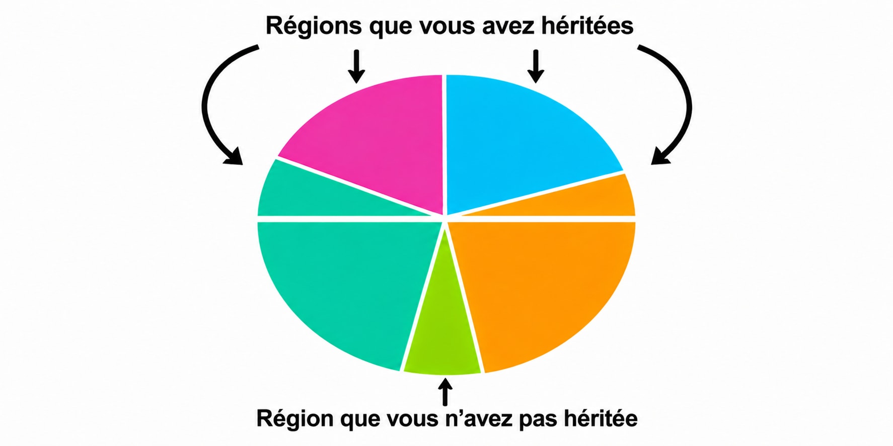 Diagramme illustrant que certaines régions ancestrales sont héritées d’un parent, tandis que d’autres ne le sont pas.