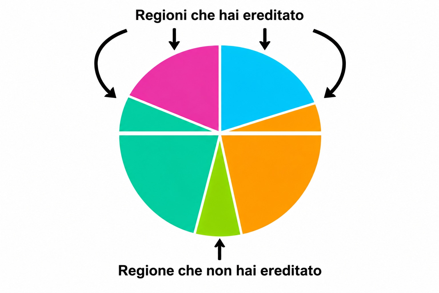 Il diagramma mostra che hai ereditato alcune regioni ancestrali da un genitore mentre altre non sono ereditate.