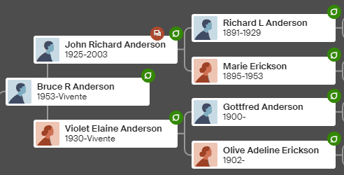 Visualizzazione della tavola genealogica
