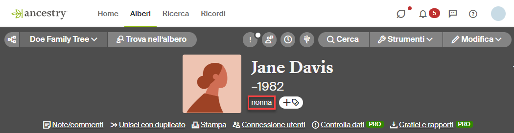 relazione al di sotto del nome