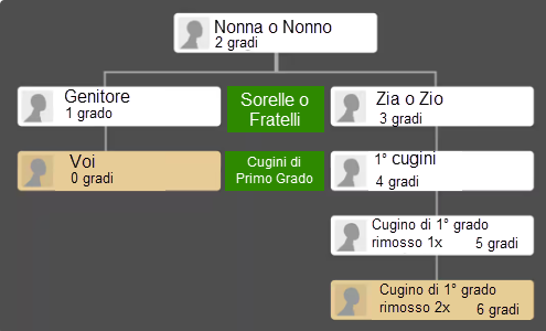 Cugini di primo grado separati di una generazione