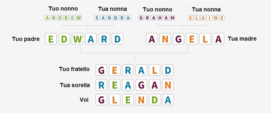 albero genealogico