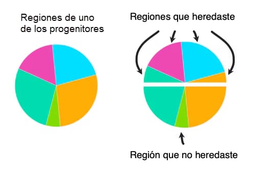 charts