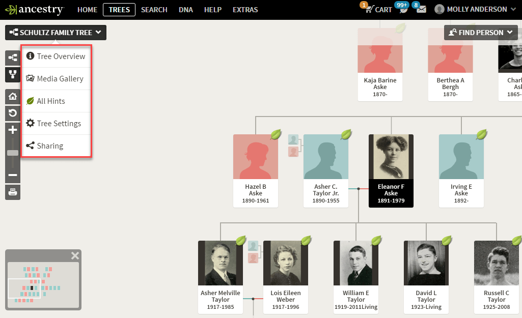 photos family tree
