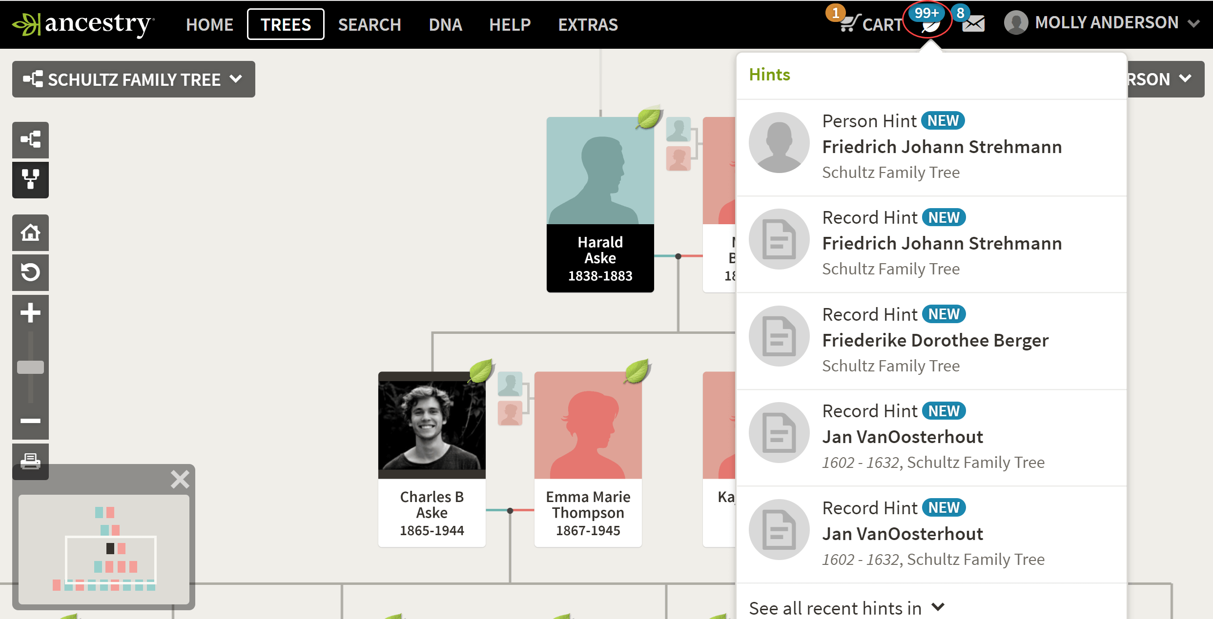 how do family trees work
