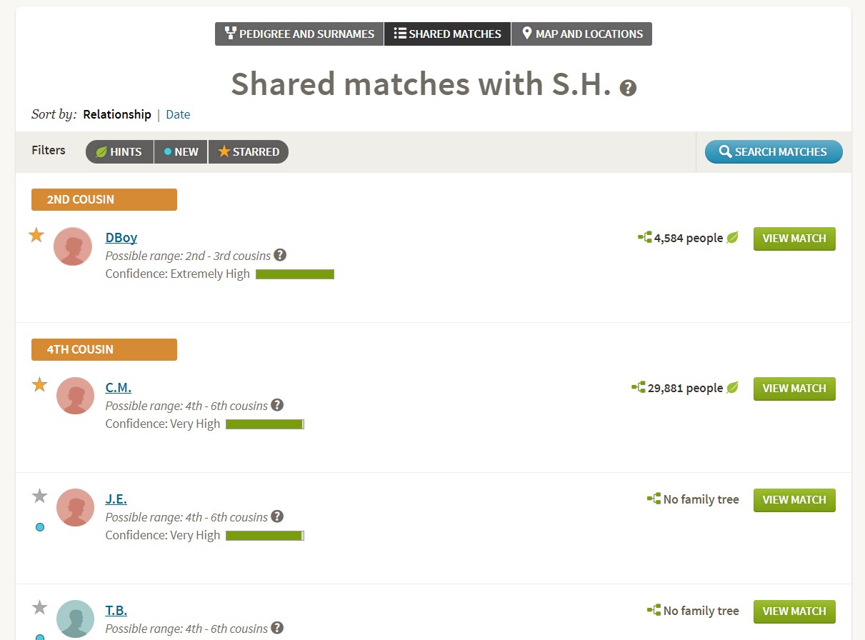 What Does The Leafy Dot Mean On Match What Does The Green Dot Tight On Match