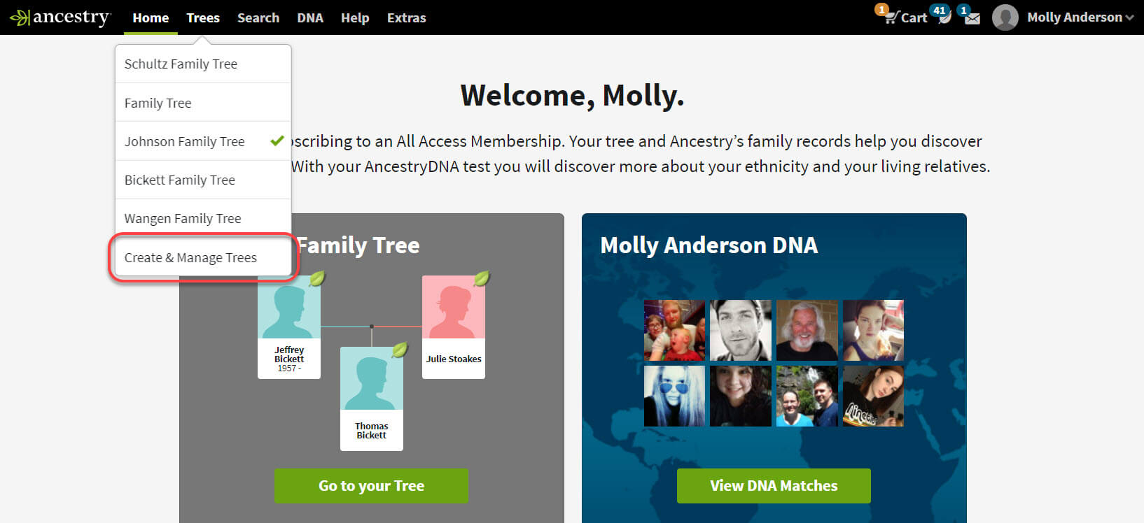 uploading and downloading trees ancestry app for windows 10