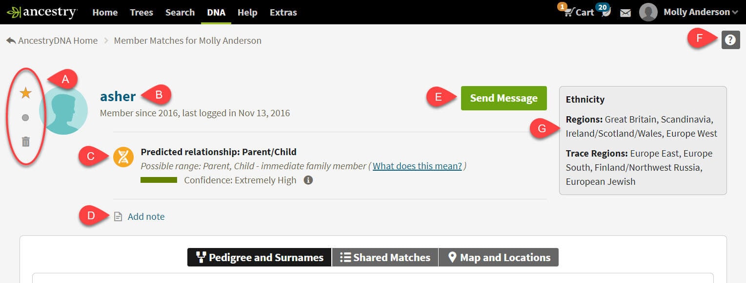 ancestrydna matches