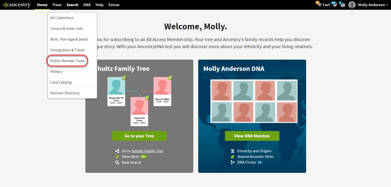 Searching Public Family Trees