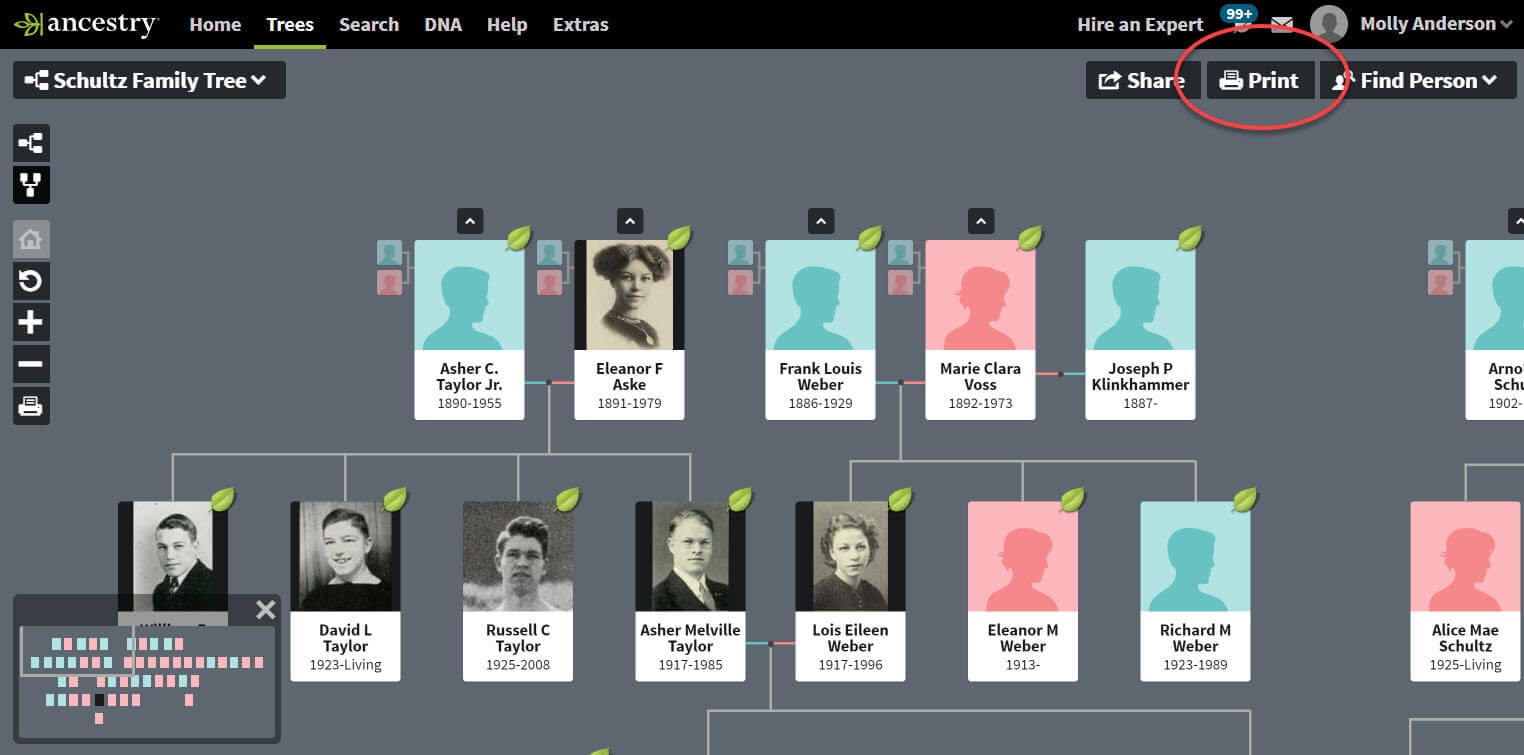 printing a family tree