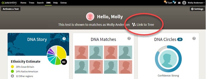 making the most of dna matches