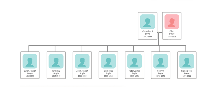 Ancestry Chart Printing