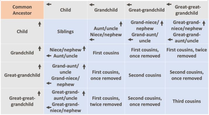 First Second Cousins Chart