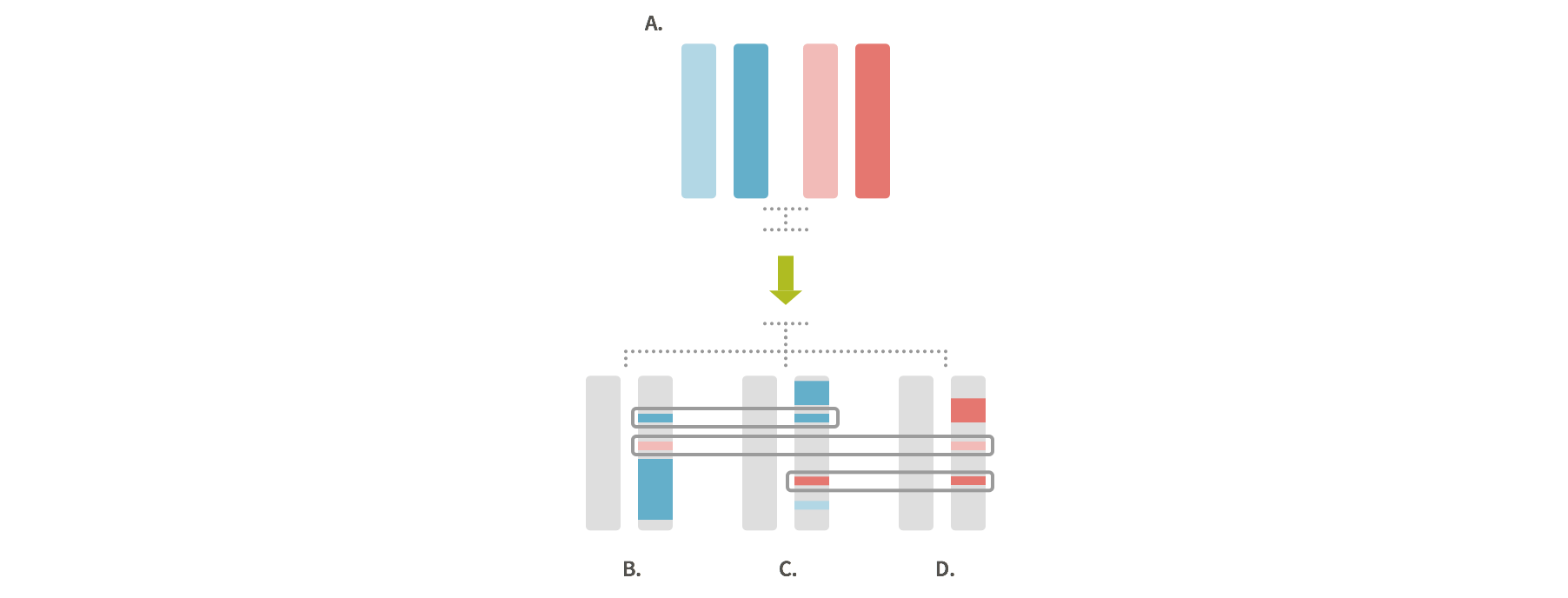 what-is-ancestrydna-matching