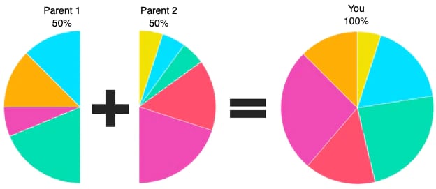 pie charts showing that you inherited 50% of your parents' DNA